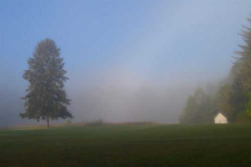 field mist morning