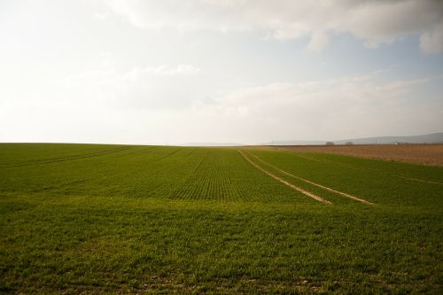 field arable green