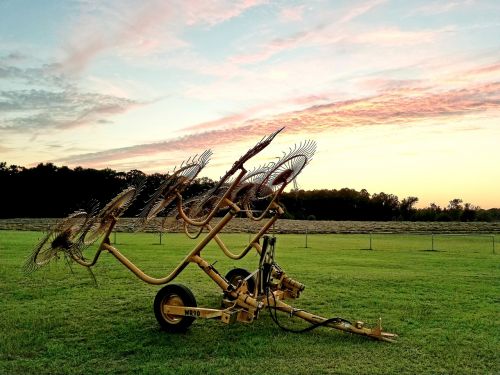 field grass farm