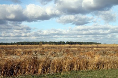 field landscape sky