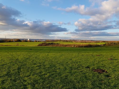 field park nature