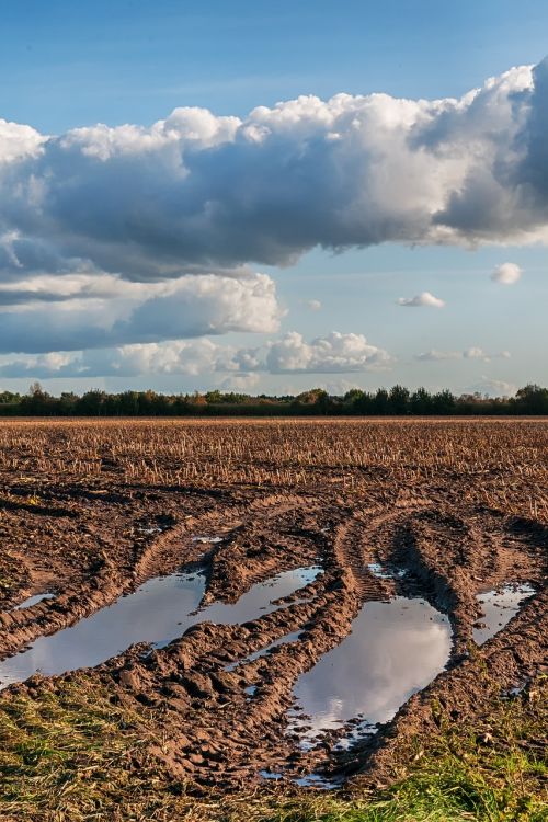 field autumn arable