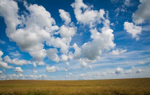 field clouds wheat