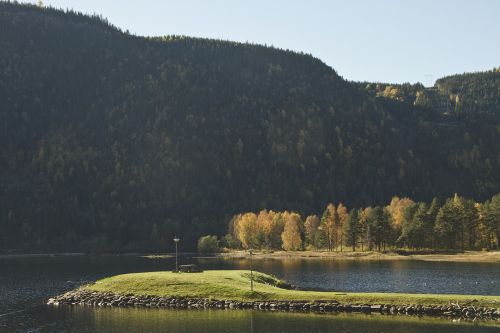 field nature lake