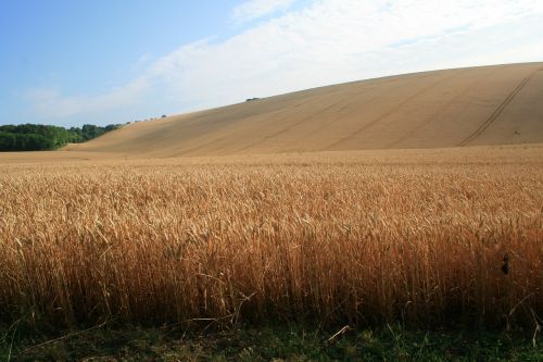 field france nature