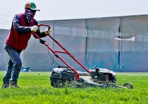 field  grass  construction