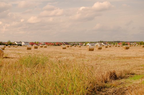 field  farm  hay