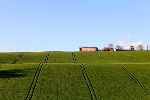 field  agriculture  farm