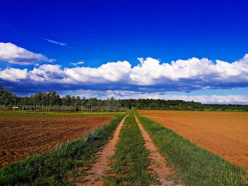 field  farm  sky