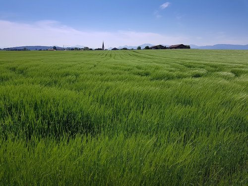 field  arable  landscape