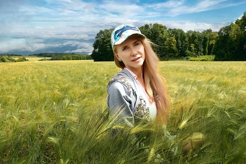 field  wheat  grain field