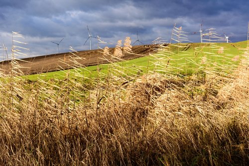 field  clouds  landscape