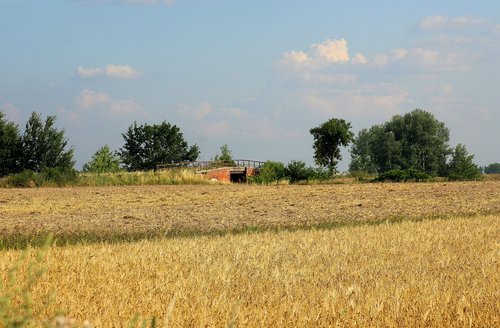 field  view  landscape rural