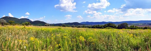 field  sky  cloud