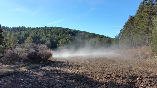 field  nature  winter