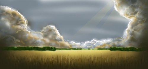 field  landscape  clouds