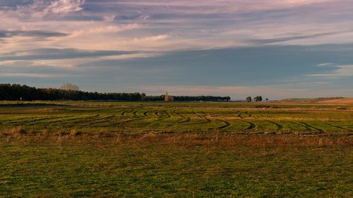 field  horizon  landscape