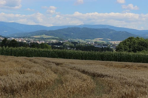 field  mesto  mountains