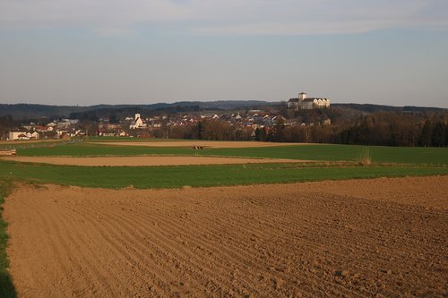 field  landscape  meadow