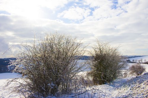 field  snow  frost