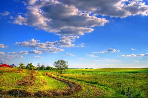 field  sky  landscape