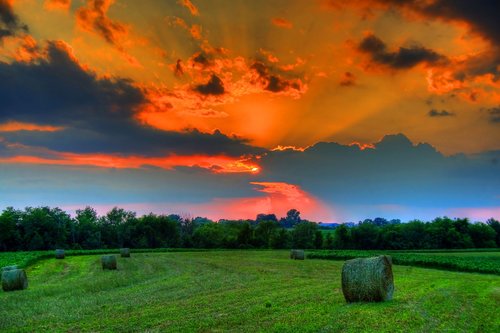 field  sunset  landscape