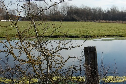 field  nature  pond
