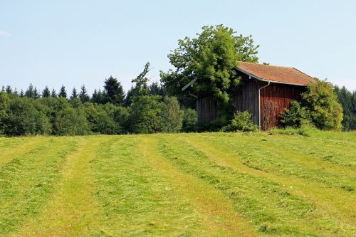 field barn hut