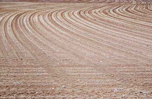 field  arable  sand