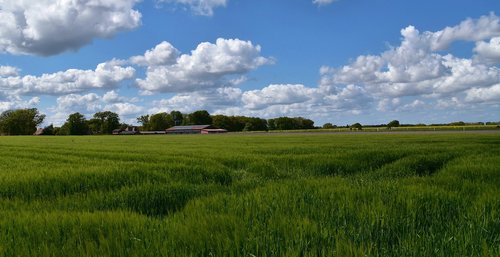 field  landscape  clouds