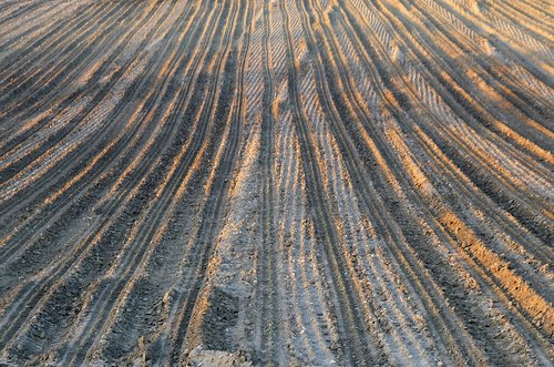 field  traces  soil