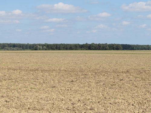 field landscape arable