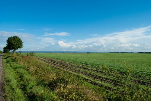 field clouds landscape