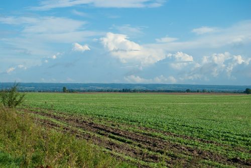 field clouds landscape