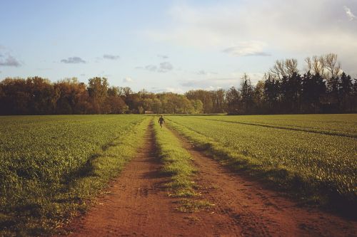 field away nature