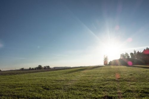 field meadow sun