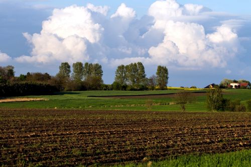 field landscape clouds