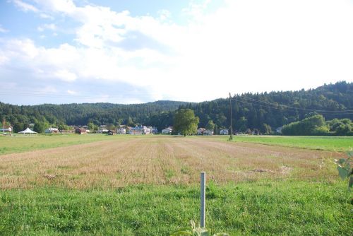 field nature landscape