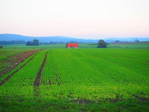 field hut agriculture