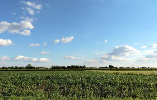 field cloud sky