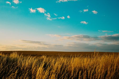 field countryside country