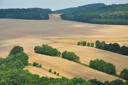 field view landscape