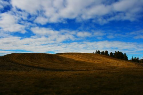 field grass countryside