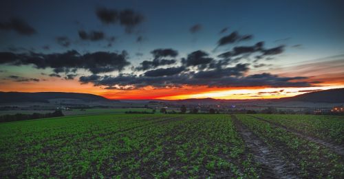 field countryside sunset