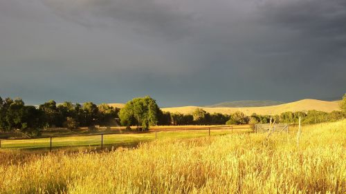 field sky storm