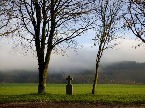 field cross fog trees