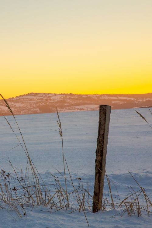 Field In Winter At Sunset