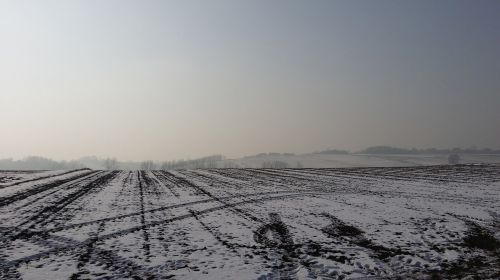 fields winter landscape