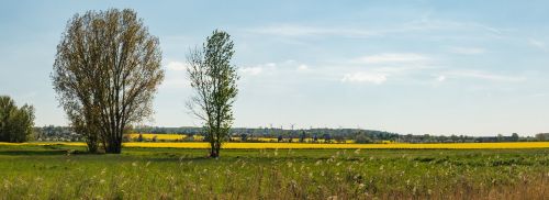 fields landscape panorama