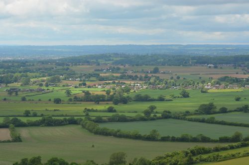 fields nature landscape